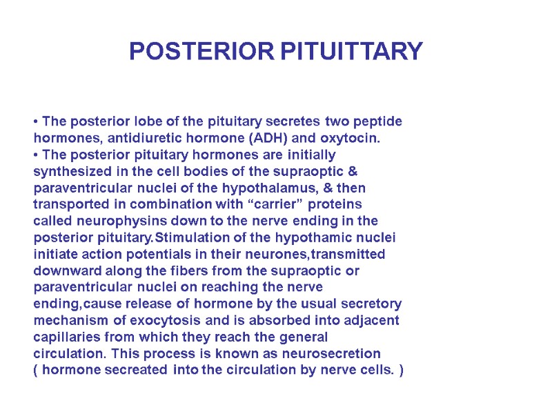 POSTERIOR PITUITTARY  • The posterior lobe of the pituitary secretes two peptide hormones,